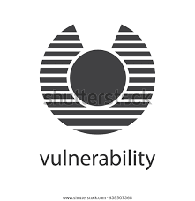 Image Vulnérabilité
